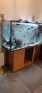 Aquarium bak + kast, Dieren en Toebehoren, Ophalen, Gebruikt, Leeg aquarium