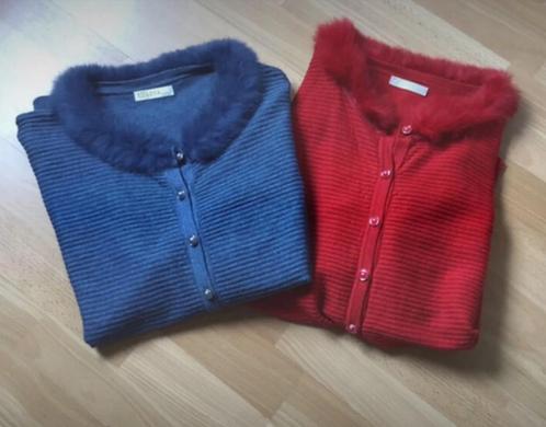 2 dezelfde vesten , alleen ander kleur.16€ voor de 2., Kleding | Dames, Truien en Vesten, Zo goed als nieuw, Maat 42/44 (L), Blauw