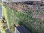 Kleigrond van Tervuren, Tuin en Terras, Aarde en Mest, Ophalen, Tuinaarde