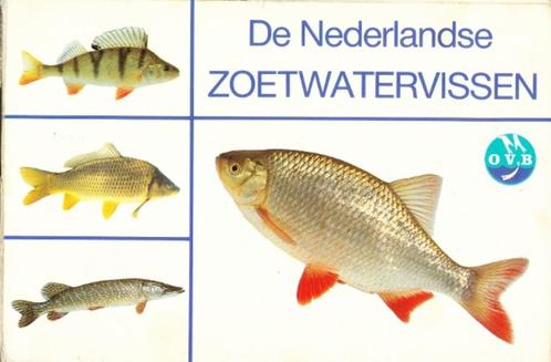 (sp253) De Nederlandse Zoetwatervissen, Livres, Livres de sport, Utilisé, Enlèvement ou Envoi