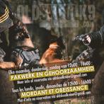 Dressage canin privé, Formation ou Cours