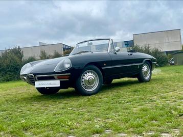 Alfa Romeo Duetto 1600 Spider beschikbaar voor biedingen
