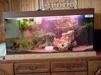 aquarium-vivarium, Enlèvement, Comme neuf, Aquarium vide