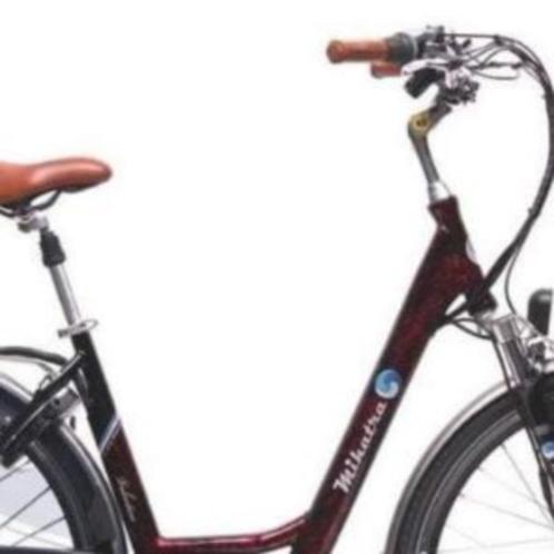TOPCONDITIE !!! Sterke E-bikes LIMITED EDITION - 540Wh, Fietsen en Brommers, Elektrische fietsen, Zo goed als nieuw, Overige merken