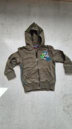 vest met kap, Kinderen en Baby's, Kinderkleding | Maat 104, Gebruikt, Trui of Vest, Ophalen of Verzenden, Someone