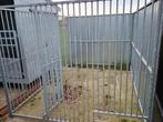 Ren, Dieren en Toebehoren, Hondenhokken, Ophalen, Zo goed als nieuw