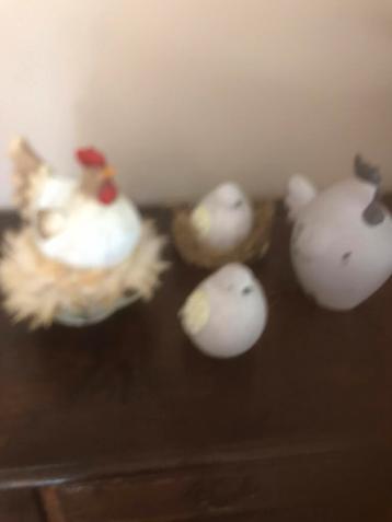 Vogels en kippen, Dieren en Toebehoren, Pluimvee