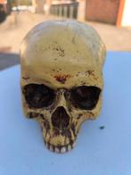 Markus mayer skull mensen schedel, Huis en Inrichting, Ophalen, Zo goed als nieuw