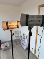 elinchrom 250, Audio, Tv en Foto, Fotografie | Fotostudio en Toebehoren, Ophalen of Verzenden