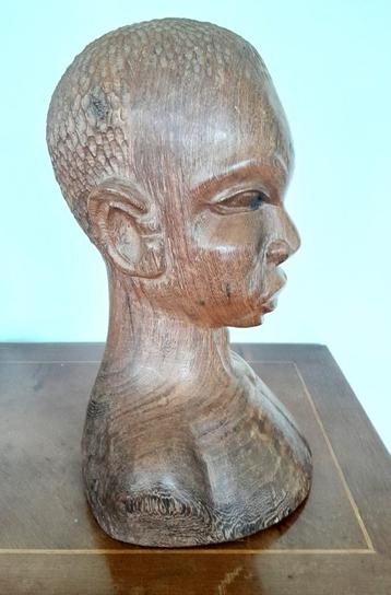 ART AFRICAIN - TÊTE SCULPTEE EN BOIS MASSIF beschikbaar voor biedingen