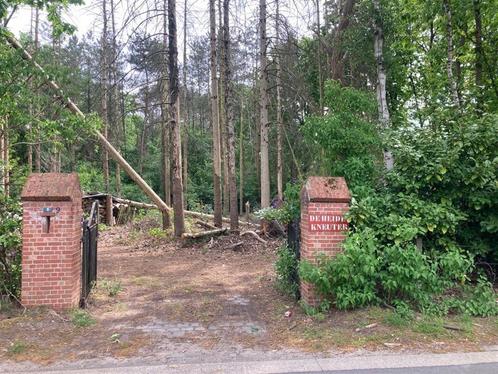 Grond te koop in Gierle, Immo, Gronden en Bouwgronden, 1500 m² of meer