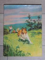 Lassie weet raad, Boeken, Ophalen of Verzenden