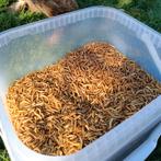 Vers de farine séchés, Enlèvement