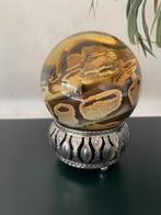 Python op sterk water, Dieren en Toebehoren, Reptielen en Amfibieën, Slang