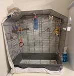 Grasparkiet met vogelkooi, Enlèvement, Utilisé, Cage à oiseaux