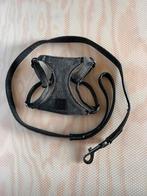 Leiband en X-harnas puppy (maat XS), Ophalen of Verzenden, Zo goed als nieuw