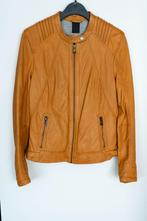 Vest in leder, merk Oakwood,  NIEUW, maat S, Verzenden, Nieuw, Oranje, Oakwood