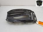 BUMPERROOSTER BMW 1 serie (F40) (|7459716|51117459716|), Auto-onderdelen, Carrosserie, Gebruikt, BMW