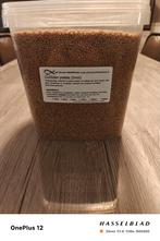 chiclieden pallets droogvoer 5000 ml, Enlèvement, Neuf