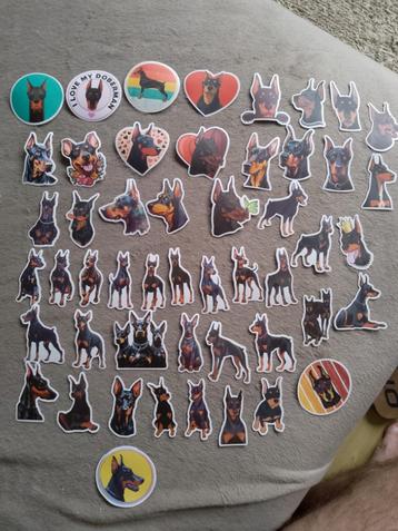 Stickers dobberman, Envoi