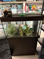 Aquarium Juwel 125L, Dieren en Toebehoren, Ophalen, Gebruikt, Leeg aquarium