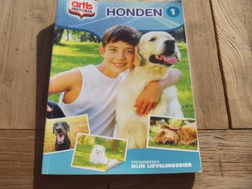 Artis Historia honden beschikbaar voor biedingen