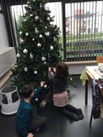 Grote Kerstboom 230cm, Ophalen