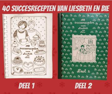40 SUCCESRECEPTEN van LIESBETH en BIE 1 & 2 beschikbaar voor biedingen