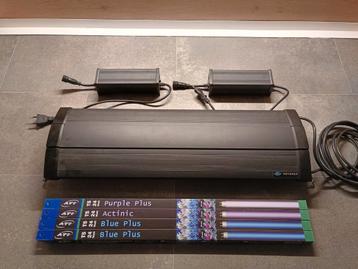 Odysea T5 met nieuwe lampen. 60 - 80 cm beschikbaar voor biedingen