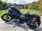 Sporster Iron 883 BJ 2013, 2 cilinders, 883 cc, Particulier, Meer dan 35 kW
