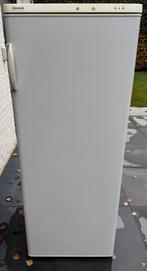 Zanker diepvries, Elektronische apparatuur, Vriezers en Diepvrieskisten, Ophalen, Zo goed als nieuw