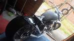 harley davidson custom, Motoren, Motoren | Harley-Davidson, 2 cilinders, Particulier, 1200 cc, 12 t/m 35 kW