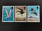 Jersey 1975 - oiseaux - oiseaux de mer *, Enlèvement ou Envoi, Non oblitéré