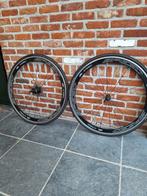 Koerswielen, Enlèvement