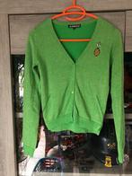 Groene gilet met pinkelingen maat 12 jaar, Kinderen en Baby's, Kinderkleding | Maat 152, Ophalen, Zo goed als nieuw, Meisje, Trui of Vest