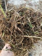 Gratis hakseling/ hakselhout, Tuin en Terras, Aarde en Mest, Ophalen