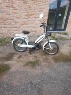 Garelli  50 vip 2, Motos, Motos | Marques Autre, Garelli, Particulier, 2 cylindres, 49 cm³