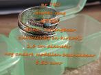 760. Juweel : ring , NIEUW , verzending inbegrepen, Handtassen en Accessoires, Ringen, Overige materialen, Nieuw, Dame of Heer