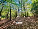 TE KOOP - Bouwgrond, Immo, Gronden en Bouwgronden, Hertsberge, 1500 m² of meer