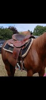 Prachtig zadel., Dieren en Toebehoren, Paarden en Pony's | Zadels, Ophalen, Zo goed als nieuw