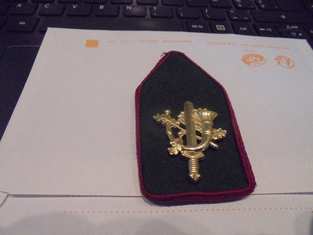 kraag regiment Limburgse Jagers, Verzamelen, Ophalen of Verzenden, Landmacht, Embleem of Badge