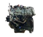 Motor Iveco 3.0 F1CGL411B, Auto-onderdelen, Ophalen of Verzenden, Overige automerken