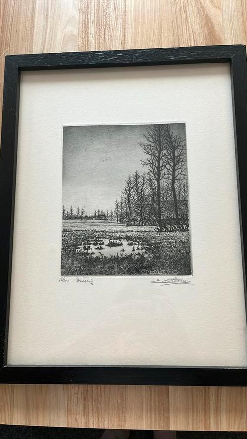 Ets  emiel de cooman, Antiek en Kunst, Kunst | Etsen en Gravures, Ophalen
