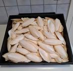 Te koop Sepia Voor schildpadden bak 2 kg, Ophalen, Zo goed als nieuw