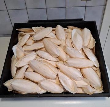 Te koop Sepia Voor schildpadden bak 2 kg beschikbaar voor biedingen
