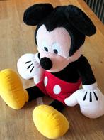 Disney Mickey, Enlèvement, Utilisé