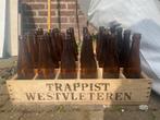 Conteneur Westvleteren 24 pièces, Collections, Vins, Enlèvement, Utilisé