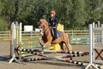 Fantastische pony te huur in half pension