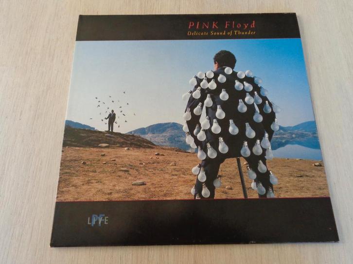Pink Floyd – Delicate Sound Of Thunder, Cd's en Dvd's, Vinyl | Rock, Zo goed als nieuw, Progressive, 12 inch, Ophalen of Verzenden