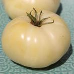 Duggin White - Graines de tomates, Envoi